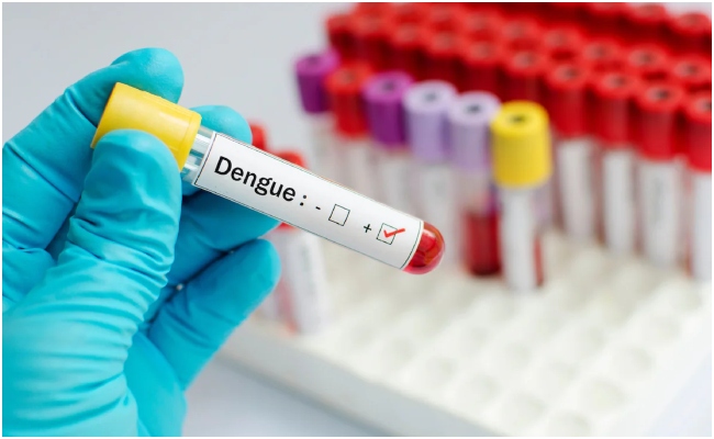 National Dengue Day: Gujarat Tests Over 2.56 Lakh Fever Samples During Prevention Campaign