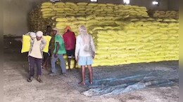भिंड में विधायक के विवाद के बीच निकला खाद सप्लाई घोटाला, गोदाम प्रभारी ने DMO पर लगाए गंभीर आरोप