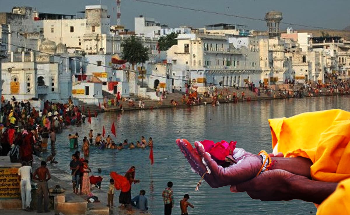 Latest and Breaking News on NDTV Latest and Breaking News on NDTV