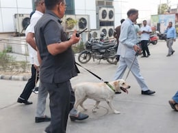 Bomb Threat: जयपुर के दो स्कूल को बम से उड़ाने की मिली धमकी, अलर्ट पर पुलिस और एजेंसियां Bomb Threat: जयपुर के दो स्कूल को बम से उड़ाने की मिली धमकी, अलर्ट पर पुलिस और एजेंसियां