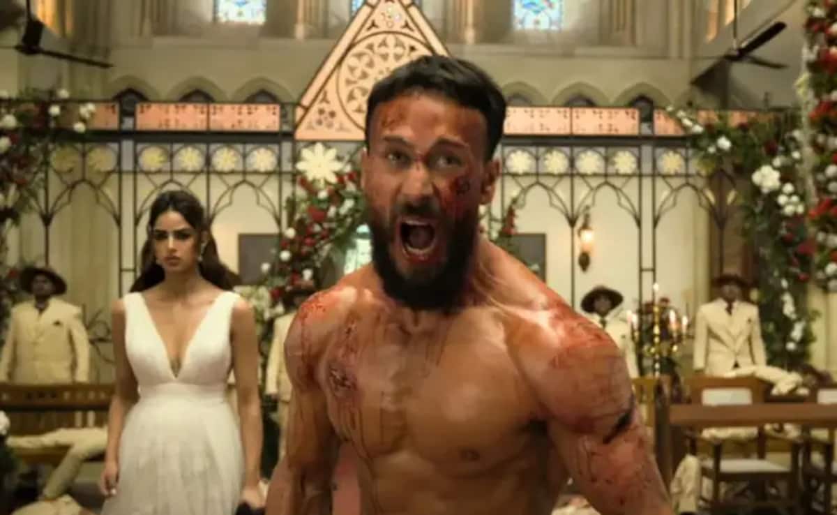 Baaghi 4 Box Office Collection Day 1: Tiger Shroff's Film Off To A Flying Start