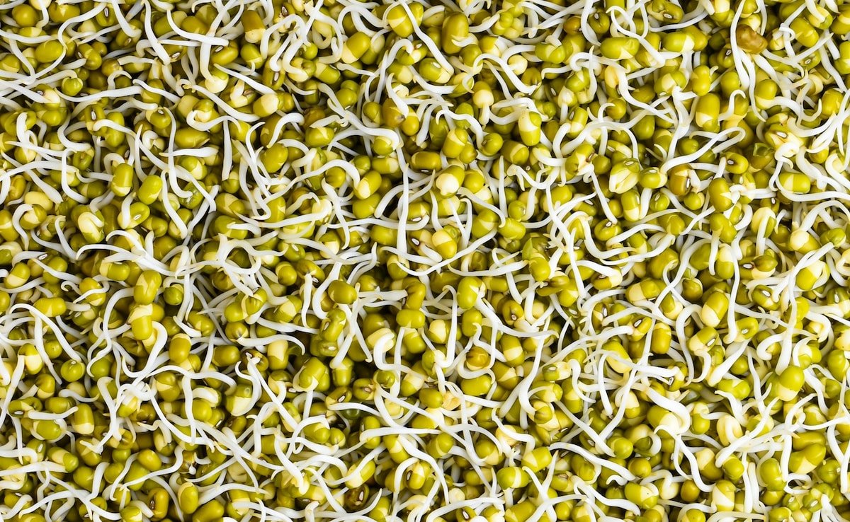 breakfast Ideas, Indian Vegetarian Nashta, indian snacks, healthy indian snacks, indian snacks that are actually healthy, healthy indian snacks you should try out now, healthy snacks, poha,, bhel idli Latest and Breaking News on NDTV