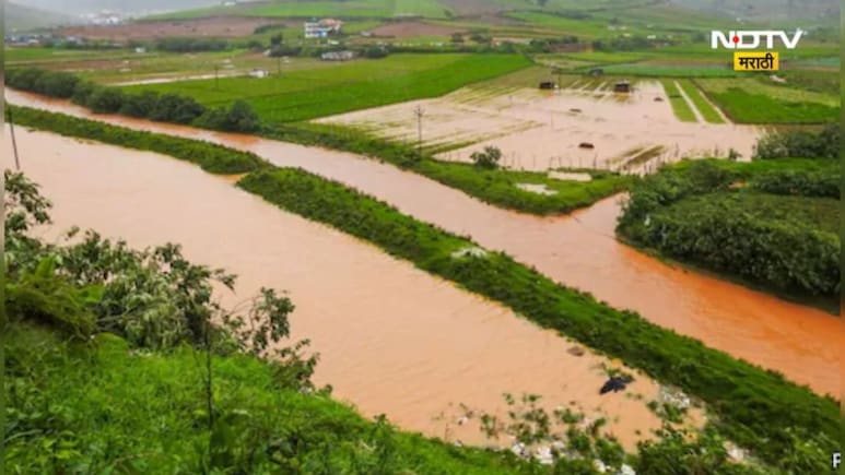 Wet Drought : राज्यात ओला दुष्काळ जाहीर करा, शेतकऱ्यांना  हेक्टरी 50 हजार द्या: विजय वडेट्टीवार