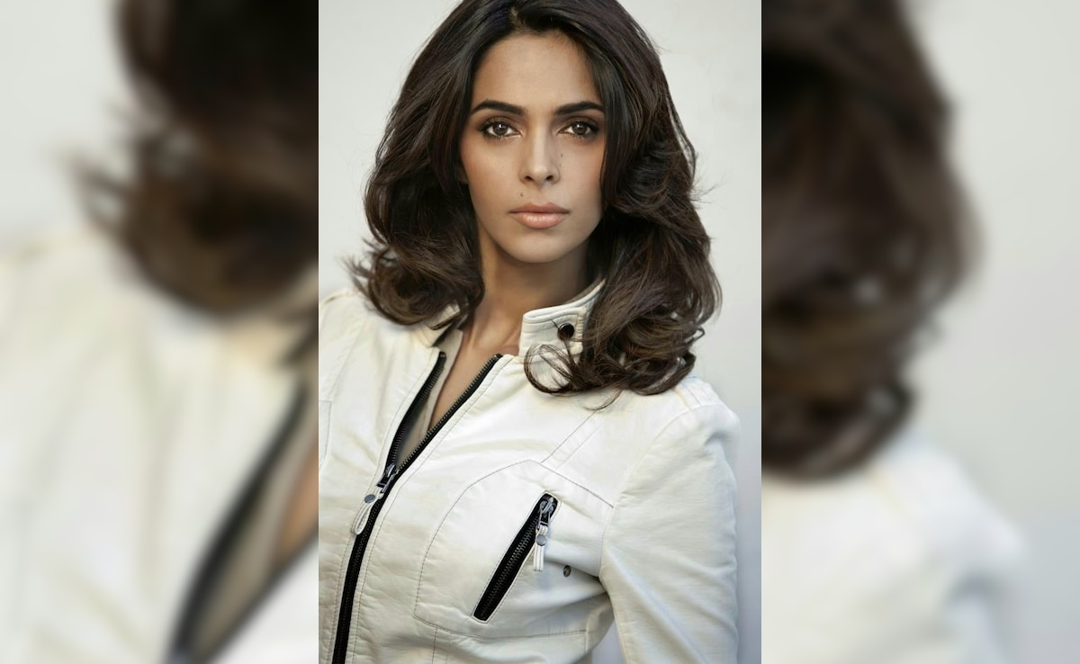 Latest and Breaking News on NDTV Latest and Breaking News on NDTV