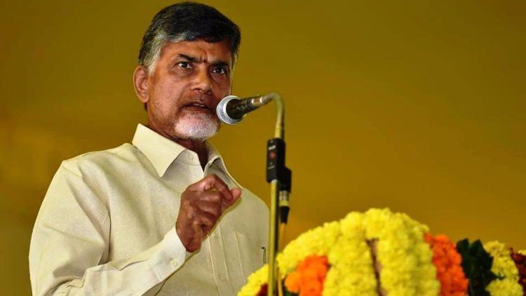 Andhra CM Naidu Announces Rs 50,000 Per Hectare Relief For Onion Farmers Hit By Rains