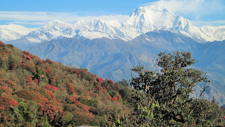 पूरा हिमालयी क्षेत्र खतरे में, इस साल घटनाएं बेहद हिंसक... सुप्रीम कोर्ट की बड़ी टिप्पणी पूरा हिमालयी क्षेत्र खतरे में, इस साल घटनाएं बेहद हिंसक... सुप्रीम कोर्ट की बड़ी टिप्पणी