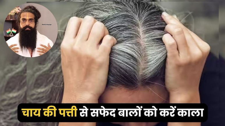 बस चाय पत्ती में मिलाकर लगा लो ये 1 चीज, हर 1 सफेद बाल हो जाएगा काला और मजबूत