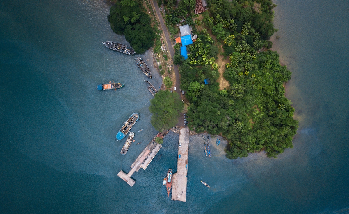 Latest and Breaking News on NDTV