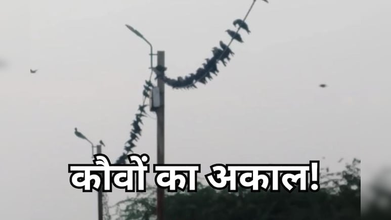 श्राद्ध के दौरान श्रद्धालुओं को नहीं मिल रहे कौवे, लेकिन उज्जैन के इस टीचर की आवाज पर आ जाता है पूरा झुंड