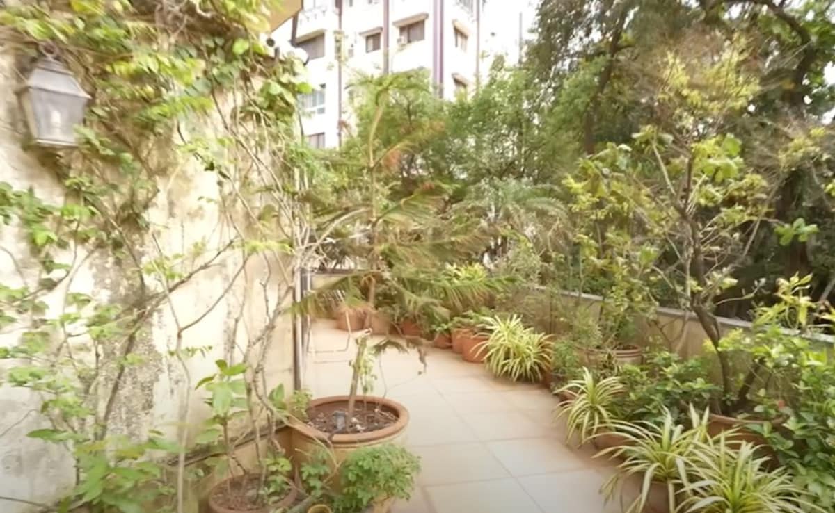 A look into Chunky Pandays garden. Photo: YouTube/FarahKhan A look into Chunky Pandays garden. Photo: YouTube/FarahKhan