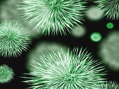 9 Everyday Habits That Increase Your Risk of Carrying Superbugs