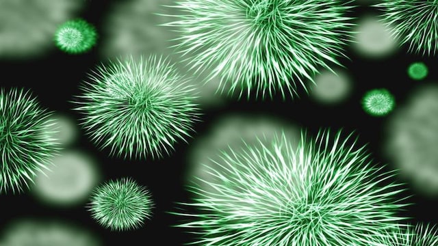 9 Everyday Habits That Increase Your Risk of Carrying Superbugs