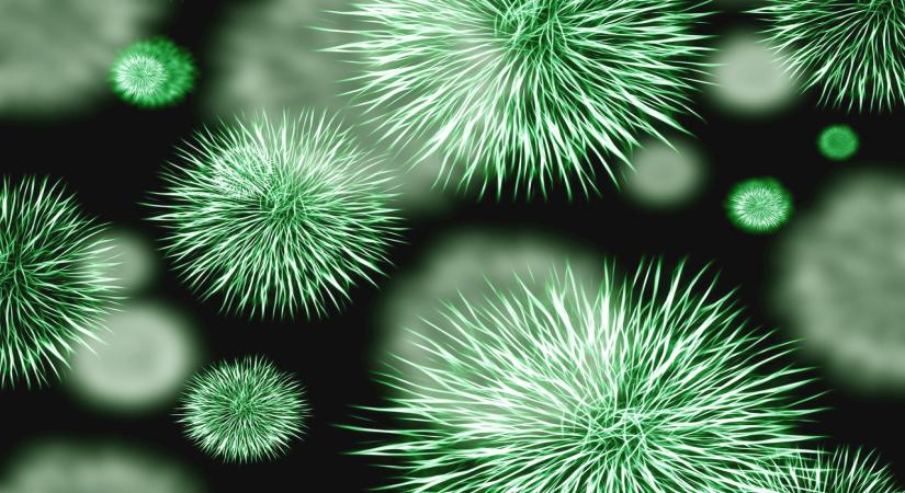 9 Everyday Habits That Increase Your Risk of Carrying Superbugs