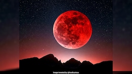 Lunar Eclipse 2025: What Students Need To Know About The "Blood Moon"