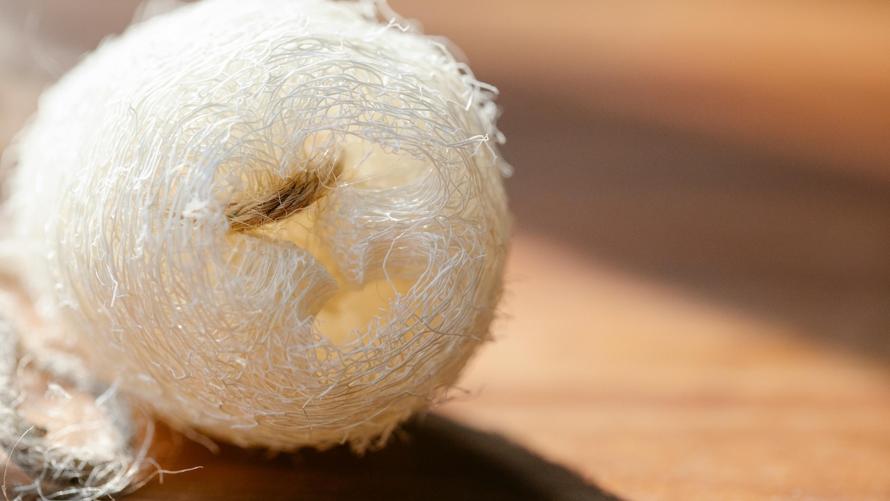 Body Exfoliation Routines: From Scrub to Smooth, Know What Works