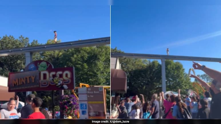 Terrifying Video Shows Missing Child Walking On Monorail Track In US, Man Jumps To Rescue Him Terrifying Video Shows Missing Child Walking On Monorail Track In US, Man Jumps To Rescue Him