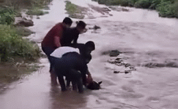 Rajasthan Rains: जयपुर में उफनती नदी पार करने की कोशिश में बहा बाइक सवार, युवकों ने मुश्किल से बचाया
