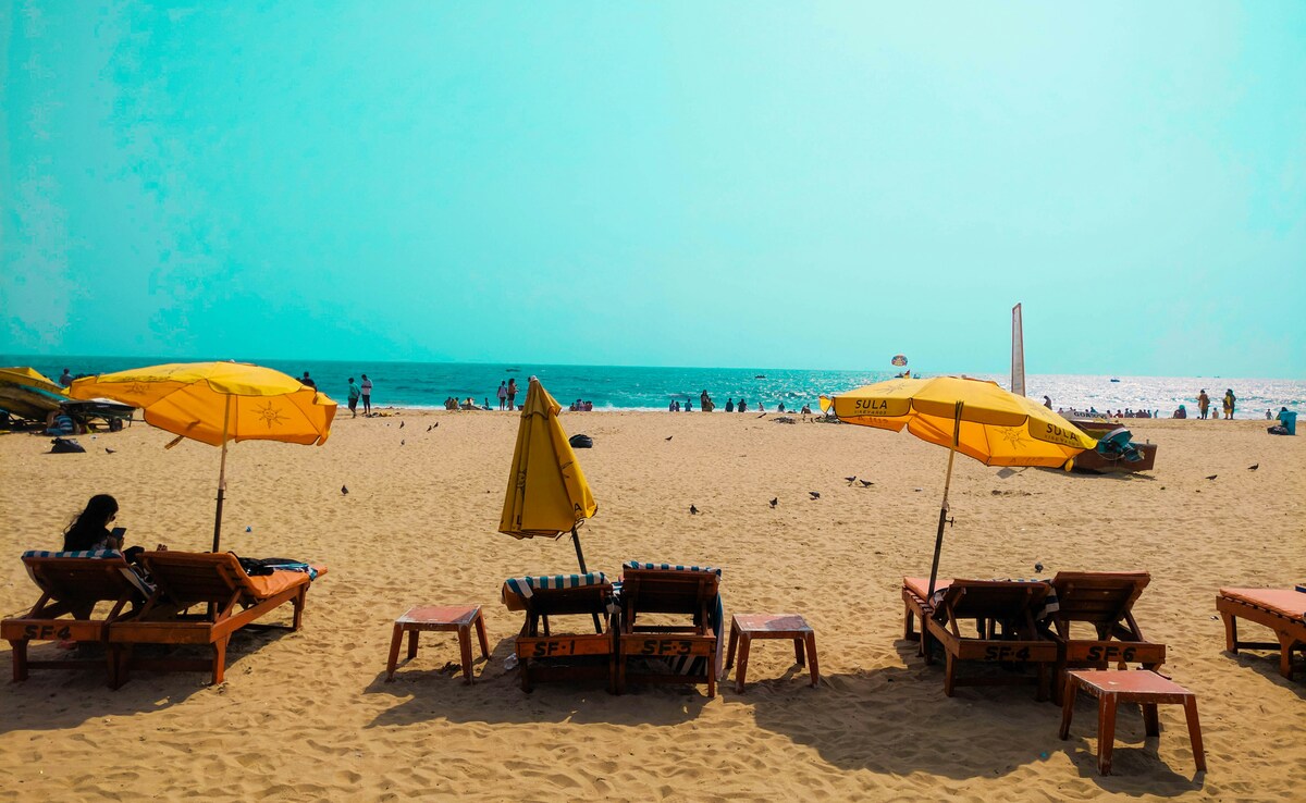 Latest and Breaking News on NDTV Latest and Breaking News on NDTV