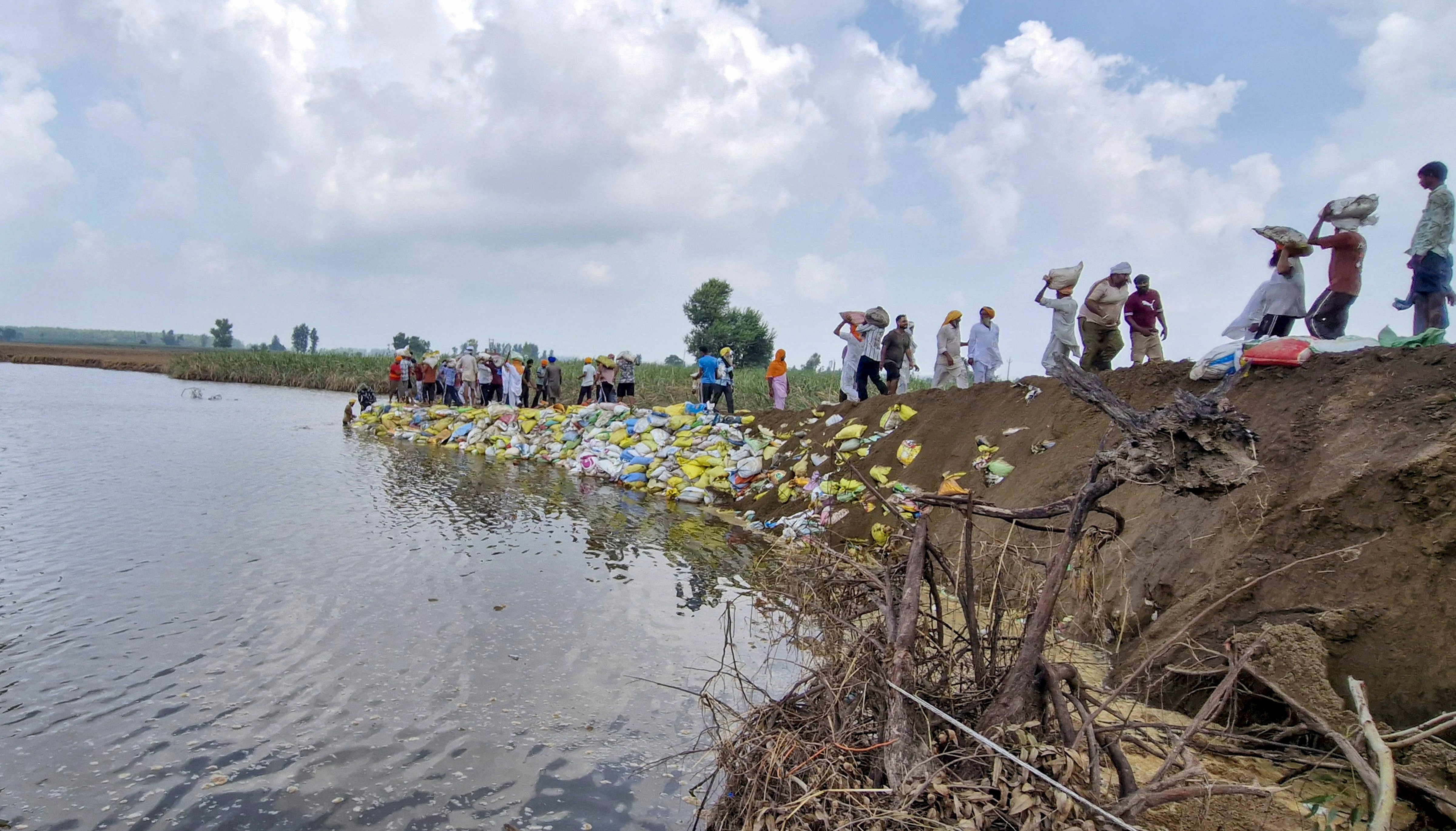 Punjab Floods Hit Power Infra; Initial Estimates Put Losses At Over Rs 100 Crore