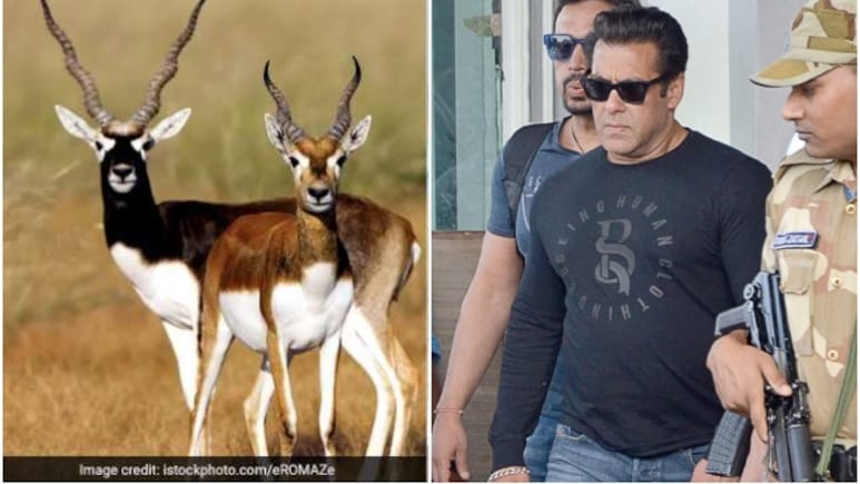 Blackbuck Poaching Case: सलमान खान की किस्मत का फैसला आज? 25 साल पुराने काला हिरण शिकार मामले में हाईकोर्ट में अहम सुनवाई