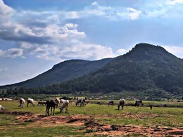 Pitru Paksha: श्राद्ध में अन्न निकलता है, पर कौवे नहीं आते... जानिए पिलखा-रामगढ़ पहाड़ से 50KM इलाके की रहस्यमयी कहानी