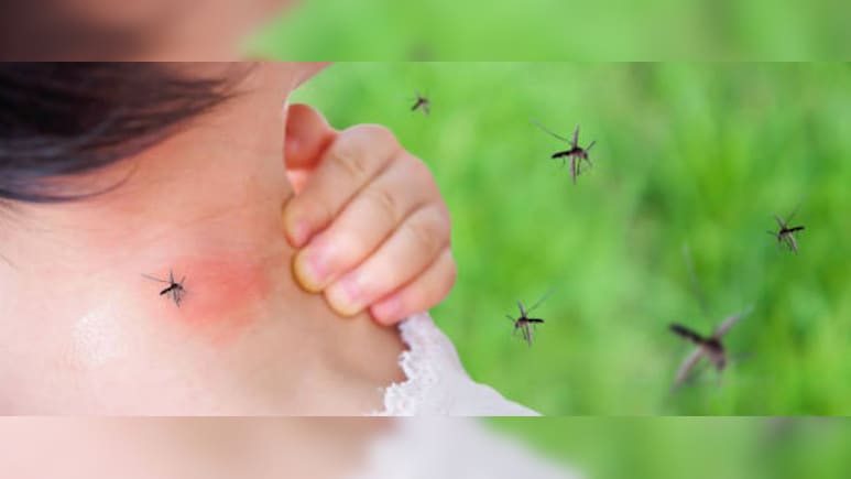 महंगे स्प्रे भूल जाइए, अब मच्छरों से छुटकारा पाना होगा आसान, बस पोछा लगाने वाले पानी में मिला लें ये 2 चीज