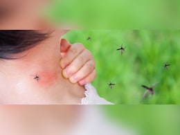 महंगे स्प्रे भूल जाइए, अब मच्छरों से छुटकारा पाना होगा आसान, बस पोछा लगाने वाले पानी में मिला लें ये 2 चीज महंगे स्प्रे भूल जाइए, अब मच्छरों से छुटकारा पाना होगा आसान, बस पोछा लगाने वाले पानी में मिला लें ये 2 चीज