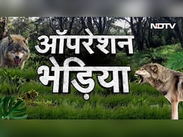 बहराइच में आदमख़ोर भेड़िए का आतंक खत्म, सीएम योगी ने जिंदा या मुर्दा पकड़ने का दिया था आदेश बहराइच में आदमख़ोर भेड़िए का आतंक खत्म, सीएम योगी ने जिंदा या मुर्दा पकड़ने का दिया था आदेश