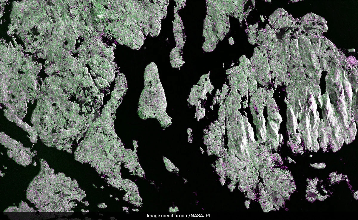 NISAR Satellite's First Radar Images Reveal Earth