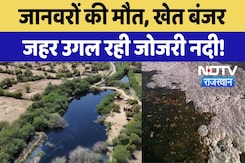 Rajasthan: जंगलों में जानवरों की मौत, खेत हो रहे बंजर, Jojri River का पानी बना जहर! | Ground Report Rajasthan: जंगलों में जानवरों की मौत, खेत हो रहे बंजर, Jojri River का पानी बना जहर! | Ground Report