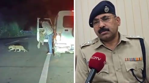 सरपंच ने दोस्त के साथ मिलकर पैंथर शावक को उठाया, पुलिस कप्तान ने तुरंत करवाई नाकाबंदी; दो गिरफ्तार 