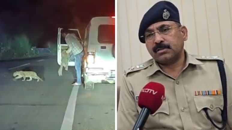 सरपंच ने दोस्त के साथ मिलकर पैंथर शावक को उठाया, पुलिस कप्तान ने तुरंत करवाई नाकाबंदी; दो गिरफ्तार सरपंच ने दोस्त के साथ मिलकर पैंथर शावक को उठाया, पुलिस कप्तान ने तुरंत करवाई नाकाबंदी; दो गिरफ्तार
