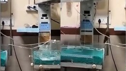 इंदौर के अस्पताल में चूहों ने कुतर दिए 2 नवजातों के हाथ, स्वास्थ्य महकमे में मचा हड़कंप तो भागे-भागे पहुंचे डॉक्टर, जांच के आदेश