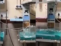 इंदौर के अस्पताल में चूहों ने कुतर दिए 2 नवजातों के हाथ, स्वास्थ्य महकमे में मचा हड़कंप तो भागे-भागे पहुंचे डॉक्टर, जांच के आदेश