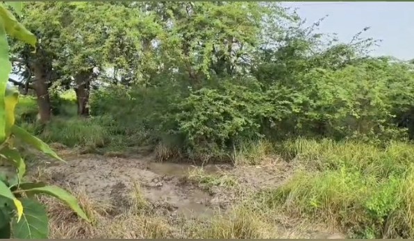 भांजे के प्यार में पागल 3 बच्चों की मां ने अपने पति का कत्ल कर बगीचे में गाड़ दिया