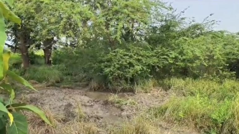 भांजे के प्यार में पागल 3 बच्चों की मां ने अपने पति का कत्ल कर बगीचे में गाड़ दिया