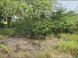 भांजे के प्यार में पागल 3 बच्चों की मां ने अपने पति का कत्ल कर बगीचे में गाड़ दिया भांजे के प्यार में पागल 3 बच्चों की मां ने अपने पति का कत्ल कर बगीचे में गाड़ दिया