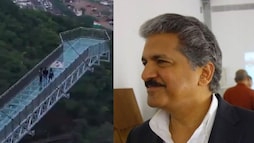 Anand Mahindra Shares Why He Wouldn't Visit Vizag's New Glass Bridge