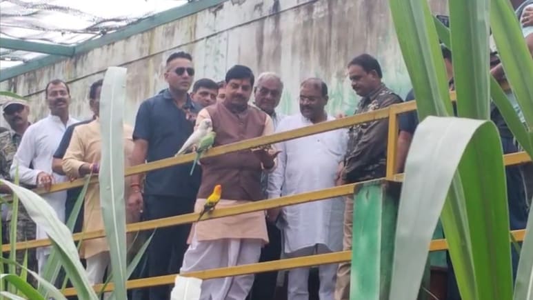 इंदौर के प्राणी संग्रहालय में दिखा CM मोहन यादव का पक्षी प्रेम, अपनी हथेलियों पर दाना रख पक्षियों को दाना चुगाया