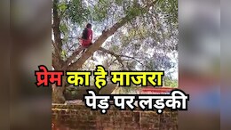 Drama over Love: एमपी में पेड़ पर चढ़ी युवती का 2 घंटे तक चला ड्रामा, प्रेम को लेकर जानिए क्या है मामला