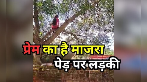 Drama over Love: एमपी में पेड़ पर चढ़ी युवती का 2 घंटे तक चला ड्रामा, प्रेम को लेकर जानिए क्या है मामला