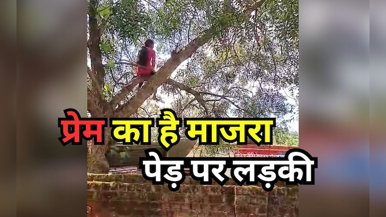 Drama over Love: एमपी में पेड़ पर चढ़ी युवती का 2 घंटे तक चला ड्रामा, प्रेम को लेकर जानिए क्या है मामला