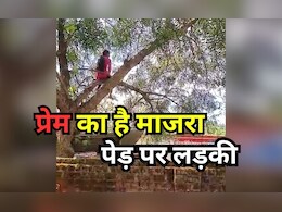 Drama over Love: एमपी में पेड़ पर चढ़ी युवती का 2 घंटे तक चला ड्रामा, प्रेम को लेकर जानिए क्या है मामला Drama over Love: एमपी में पेड़ पर चढ़ी युवती का 2 घंटे तक चला ड्रामा, प्रेम को लेकर जानिए क्या है मामला