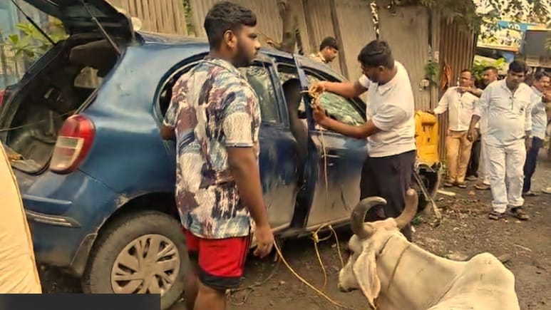 Virar News: गाईंना छोट्याशा कारमध्ये कोंबलं; गावकऱ्यांच्या एन्ट्रीमुळे चालकाचं दुष्कृत्य उघड, धक्कादायक प्रकार