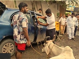 Virar News: गाईंना छोट्याशा कारमध्ये कोंबलं; गावकऱ्यांच्या एन्ट्रीमुळे चालकाचं दुष्कृत्य उघड, धक्कादायक प्रकार Virar News: गाईंना छोट्याशा कारमध्ये कोंबलं; गावकऱ्यांच्या एन्ट्रीमुळे चालकाचं दुष्कृत्य उघड, धक्कादायक प्रकार