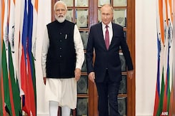 "Delhi On Phone With Putin": NATO Chief's Big Claim Over US Tariff Impact "Delhi On Phone With Putin": NATO Chief's Big Claim Over US Tariff Impact