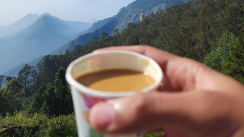 ब्रश के तुरंत बाद चाय क्यों नहीं पीनी चाहिए? जानिए एक आम सी लेकिन जरूरी बात!