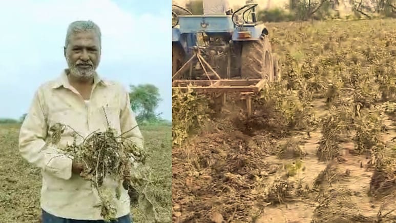 Akola News : गंगामाई रुसली, 10 एकर शेतातील पिकं आडवी झाली; अकोल्यातील शेतकरी उद्ध्वस्त Akola News : गंगामाई रुसली, 10 एकर शेतातील पिकं आडवी झाली; अकोल्यातील शेतकरी उद्ध्वस्त