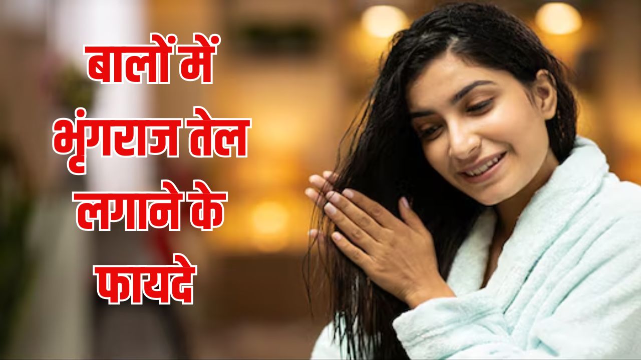 भृंगराज तेल बालों में लगाने से क्या होता है? आयुर्वेदिक डॉक्टर ने बताया एक हफ्ते में नजर आएंगे ये फायदे