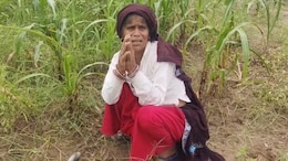 खेती ही हमारी रोजी-रोटी है... अब क्या करें, बारिश में फसल खराब होने पर हाथ जोड़कर गुहार लगा रही किसान